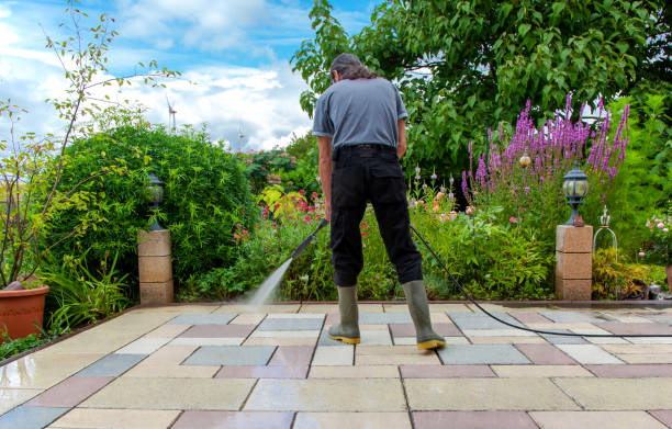 Best Animal Enclosure Cleaning  in Sheldon, IL